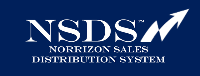 Norrizon Logo